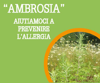Immagine che raffigura Ambrosiana