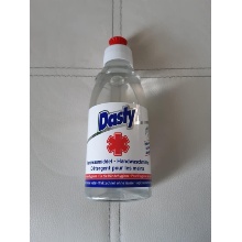 Dasty